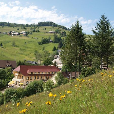 טודנאו Gruener Baum Naturparkhotel & Schwarzwald-Restaurant מראה חיצוני תמונה