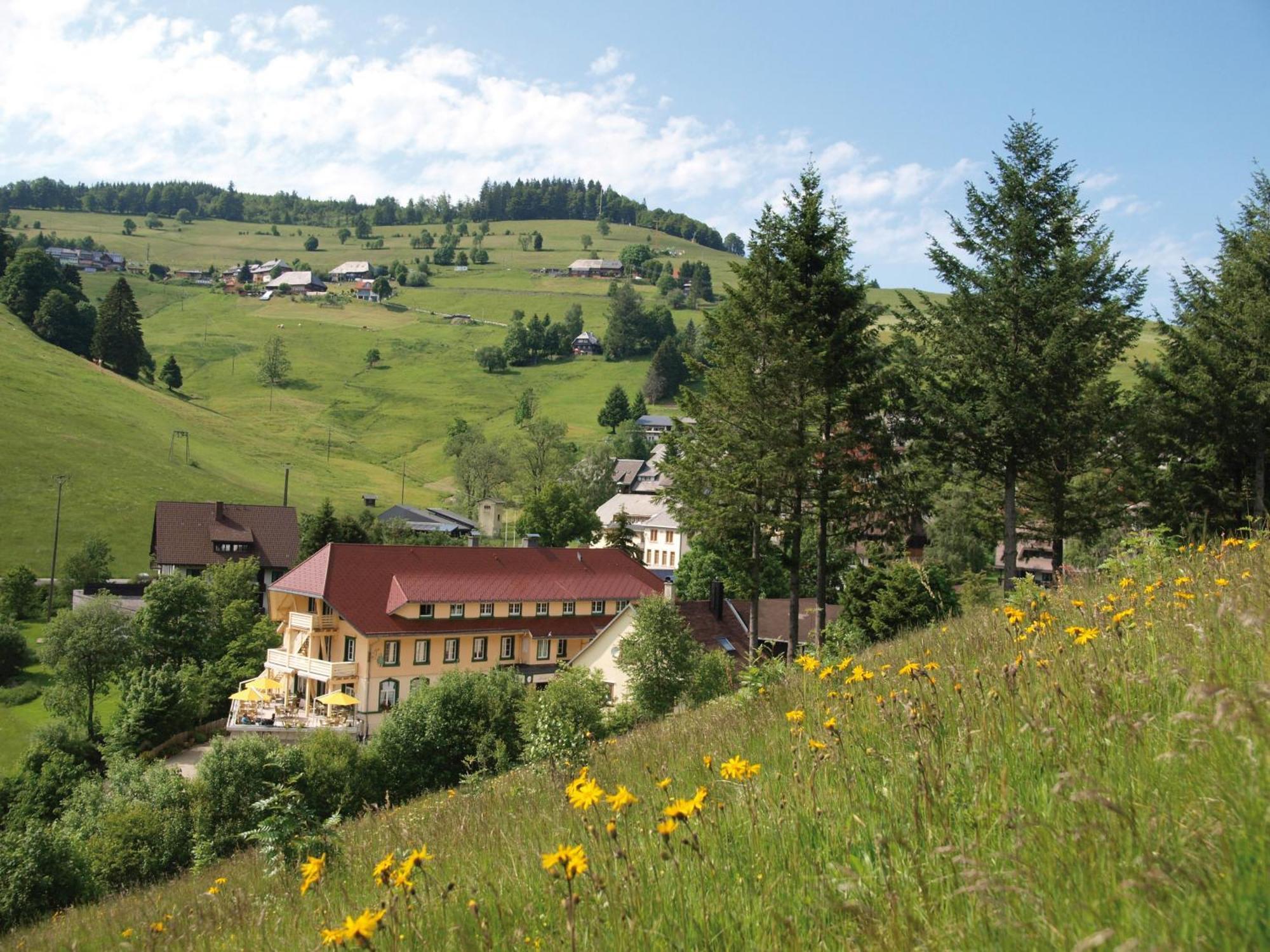 טודנאו Gruener Baum Naturparkhotel & Schwarzwald-Restaurant מראה חיצוני תמונה