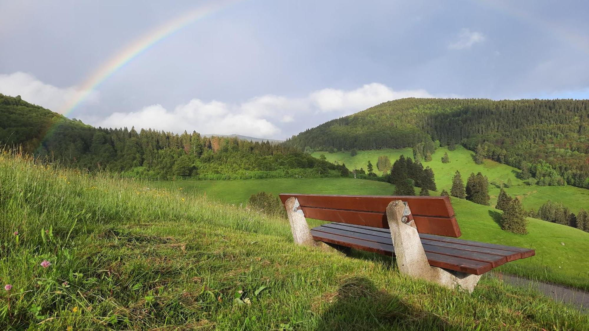 טודנאו Gruener Baum Naturparkhotel & Schwarzwald-Restaurant מראה חיצוני תמונה