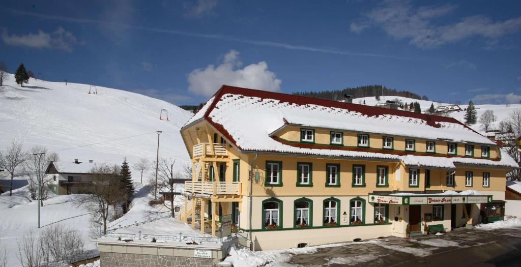 טודנאו Gruener Baum Naturparkhotel & Schwarzwald-Restaurant מראה חיצוני תמונה