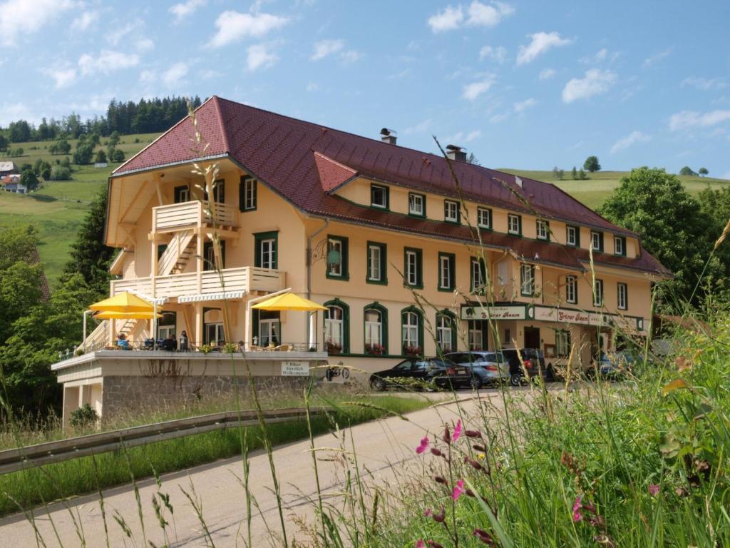 טודנאו Gruener Baum Naturparkhotel & Schwarzwald-Restaurant מראה חיצוני תמונה