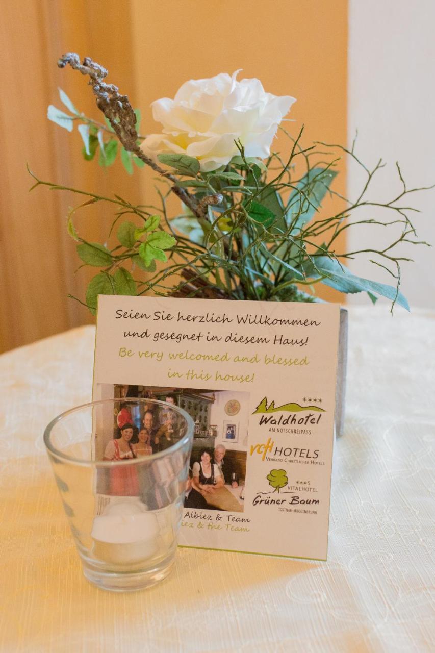 טודנאו Gruener Baum Naturparkhotel & Schwarzwald-Restaurant מראה חיצוני תמונה